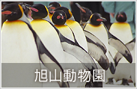 旭山動物園