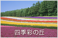 lGʂ̋u