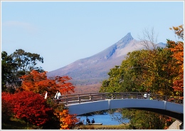 紅葉の大沼散策コース 10月中旬〜11月初旬