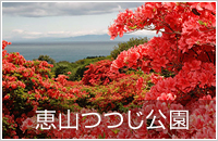 恵山つつじ公園