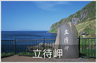 立待岬