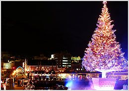 函館クリスマスファンタジー特別プラン