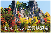 函館発旭山動物園2泊3日