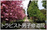 道南(松前・江差コース)コース