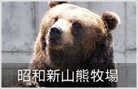 道南名物2泊3日コース