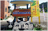 大沼コース