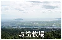 大沼コース