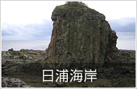 春の道南・桜の名所コース