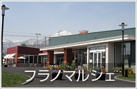 函館出発・夏の富良野、美瑛の旅