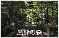 函館出発・夏の富良野、美瑛の旅