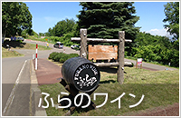 函館出発・夏の富良野、美瑛の旅