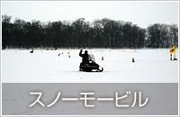 冬の大沼観光プラン