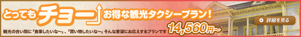 とってもチョ―お得な観光タクシープラン!観光の合い間に「食事したいな～」、「買い物したいな～」そんな要望にお応えするプランです。14,120円～