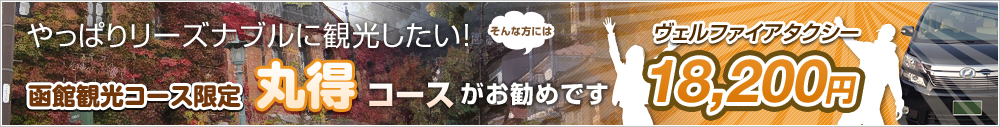 やっぱりリーズナブルに観光したい！　そんな方には函館観光コース限定丸得コースがお勧めです。  ヴェルファイアタクシー17,820円